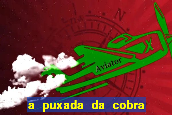 a puxada da cobra no jogo do bicho